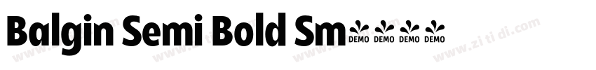 Balgin Semi Bold Sm字体转换